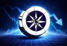 أخبار شبكة آيس المفتوحة: الرئيس التنفيذي يخفض التكاليف الشهرية 89% ويعد بإطلاق منتج جديد خلال 8 أسابيع