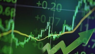 بيانات Paybis تُظهر تحسُّن معدلات الاحتفاظ بمستخدمي العملات الرقمية