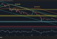تحليل سعر الريبل: استمرار تراكم XRP وسط استمرار المشاعر السلبية في السوق