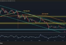 تحليل سعر ريبل: هل يستعد XRP للانطلاق بعد ارتفاعه اليومي بنسبة 5%؟