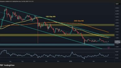 تحليل سعر ريبل: هل يستعد XRP للانطلاق بعد ارتفاعه اليومي بنسبة 5%؟