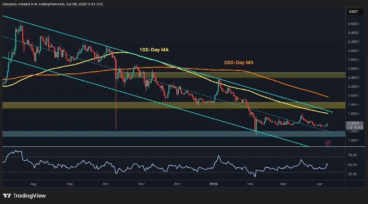 تحليل سعر ريبل: هل يستعد XRP للانطلاق بعد ارتفاعه اليومي بنسبة 5%؟