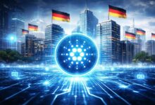 رئيس مؤسسة كاردانو: الشبكة تخدم بالفعل أكثر من 200 شركة ألمانية