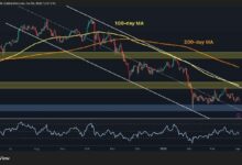 تحليل سعر البيتكوين: ما المصير المُنتظر لـ BTC بعد الهبوط إلى 66 ألف دولار؟