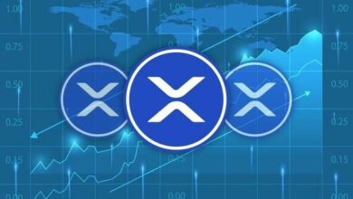 خبير تشفير يتوقع اقتراب سعر XRP من قمة تاريخية جديدة مع تحقق 3 مؤشرات فنية