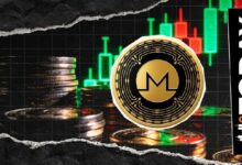 احتفال عملة مونيرو (XMR) بمرور 12 عامًا على إطلاقها