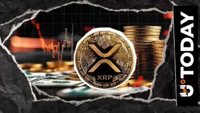 مؤشرات XRP هادئة في تداولات العطلات: مستويات الأسعار التي يجب مراقبتها الآن