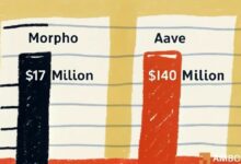 عائد مورفو البالغ 170 مليون دولار يخفي سؤالاً أكبر: هل تستطيع التفوق على أفيه؟