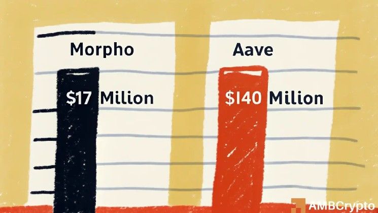 عائد مورفو البالغ 170 مليون دولار يخفي سؤالاً أكبر: هل تستطيع التفوق على أفيه؟