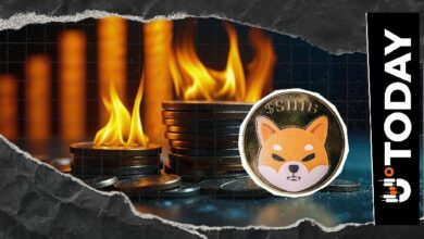 ارتفاع معدل حرق عملة Shiba Inu بنسبة 405% يعزز قوة الشبكة