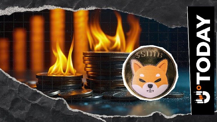 ارتفاع معدل حرق عملة Shiba Inu بنسبة 405% يعزز قوة الشبكة