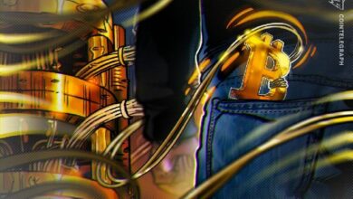 BitMEX تطرح "صندوق الكناري" كبديل لتجميد عملة البيتكوين الكمومي