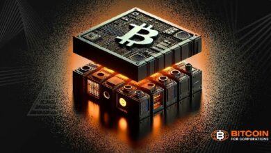 نموذج خزانة البيتكوين مع أرضية تقييم مضمَّنة