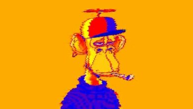 نجم NFT ستيف أوكي يتخلص من SHIB وETH وPEPE.. وقيمة "القردة المملة" في محفظته تهبط 88%