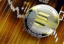 توقعات سعر سولانا: اختبار الدعم الرئيسي تحت المجهر