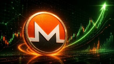 مونيرو إلى 1,160 دولارًا؟ محلل يتوقع ارتفاعًا كبيرًا لـ XMR