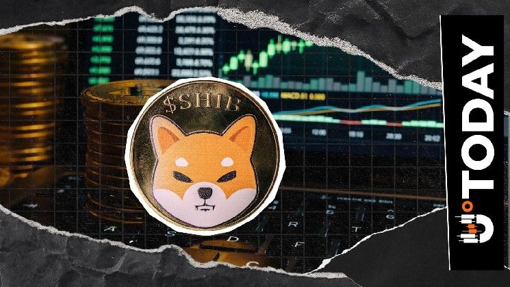 شيبا إينو يتفوق على بيتكوين وإكس آر بي مع قفزة الفائدة المفتوحة بنسبة 20%