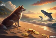 دوجكوين يتعثر عند 0.091 دولار: هل يمكن لشراء 500 مليون دولار من الحيتان أن يُطلق انطلاقته؟