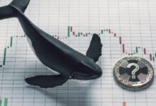 انتباه: تحذير جديد من تلاعب في عملة رقمية بديلة! وقفزة سعرية هائلة!