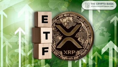 صناديق XRP المتداولة تلمع بالأخضر مع صعود الأسعار رغم هدوء حجم التداول