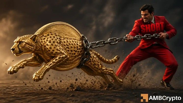 **DEXE: ضغط قصير يتزايد مع اقتراب السعر من 12.8 دولار – ما التالي؟**