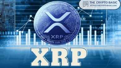 مؤسس عملة رقمية يشرح كيف يمكن لـ XRP تسوية 50 مليون دولار بين مصرفين كبار