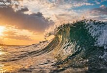 ويسدوم تري: السوق المستقرة للعملات المشفرة تواجه إعادة تسعير هيكلية مع تحول المؤسسات نحو العائد