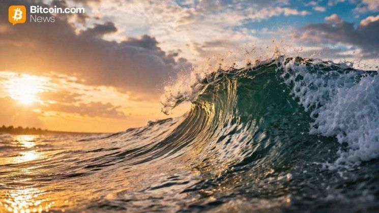 ويسدوم تري: السوق المستقرة للعملات المشفرة تواجه إعادة تسعير هيكلية مع تحول المؤسسات نحو العائد