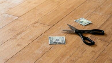 سكْرول تُخفّض التكاليف بعد هجرة بروتوكولها الرئيسي إلى أوبتيميزم