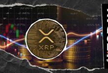 أسبوع حاسم لـ XRP: حدثان يُتوقع أن يُطلقا ضجة مجتمعية كبيرة