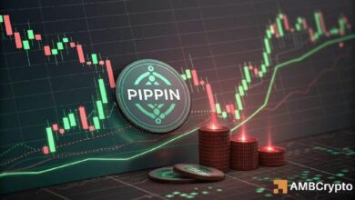 هل يمكن لارتفاع "PIPPIN" بنسبة 8% وانتعاش حجم التداول أن يدعم جهود التعافي؟