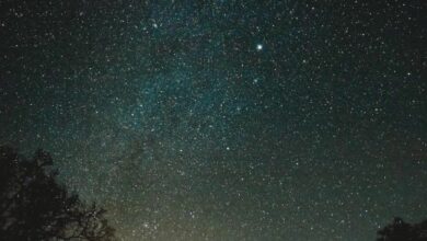 من التمويل اللامركزي إلى الفضاء السحيق: كيف تؤمن SkyMapper و Avalanche سجلات تلسكوبات العالم