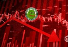 سعر بيبي يهبط 5% بسبب المبيعات الضخمة وحجم التداول المنخفض