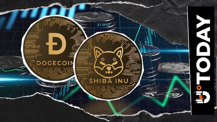 ميم كوينز ترتفع: DOGE يلمس 0.1 دولار في ضغط قصير، وSHIB يقفز مع تقاطع ذهبي