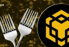 ترقية BNB Chain أوساكا/مندل: ما هي؟