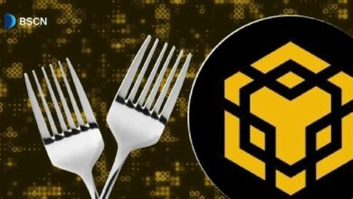 ترقية BNB Chain أوساكا/مندل: ما هي؟