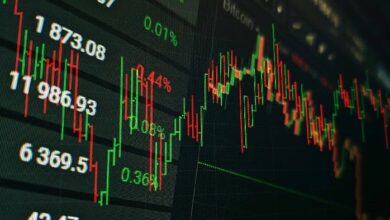 **حيتان ASTEROID تتحول إلى ميمكوينات جديدة وتخسر كل أموالها**
