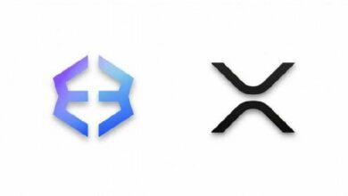 "إكسودوس" تطلق أدوات أصلية لـ XRP وتتعاون مع ريبل لدعم توسيع نطاق عملة RLUSD