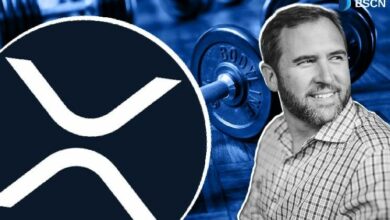 هل تُعد صناديق XRP المتداولة في البورصة الأقوى في التاريخ؟