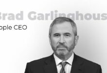 "100%": الرئيس التنفيذي لـ Ripple يدلي بتصريح حاسم حول XRP