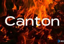 شبكة كانتون تحرق أكثر من 400 مليون دولار من عملة كانتون