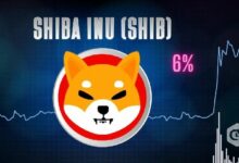 سعر شيبا إينو يرتفع 6% محققًا أعلى مستوى شهري