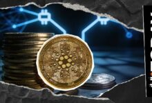 شيكان هارد فورك كاردانو يقترب: أبرز التحديثات والمستجدات