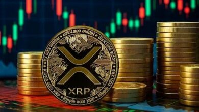 عملة XRP تتأخر خلف BNB مع تعمق الانخفاض المستمر لسبعة أشهر