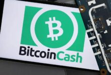صدمة تصفية البيتكوين كاش: أين يتجه المتداولون الأذكياء الآن؟