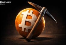 شبكة بيتكوين تتنفس الصعداء: صعوبة التعدين تنخفض 2.43% وسعر الهاش يرتفع 13.65%