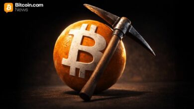 شبكة بيتكوين تتنفس الصعداء: صعوبة التعدين تنخفض 2.43% وسعر الهاش يرتفع 13.65%