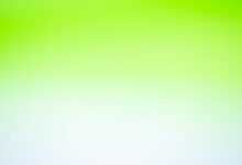 ترانساك تفتح الباب أمام الوصول بالعملات التقليدية إلى شبكة كانتون