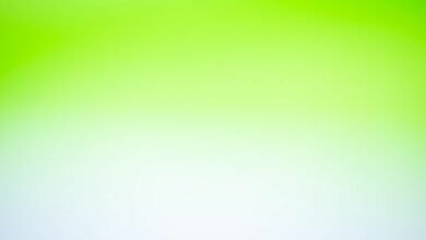 ترانساك تفتح الباب أمام الوصول بالعملات التقليدية إلى شبكة كانتون