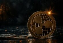 نسبة شارب لـ XRP ترتفع بشكل كبير: ماذا يعني ذلك؟